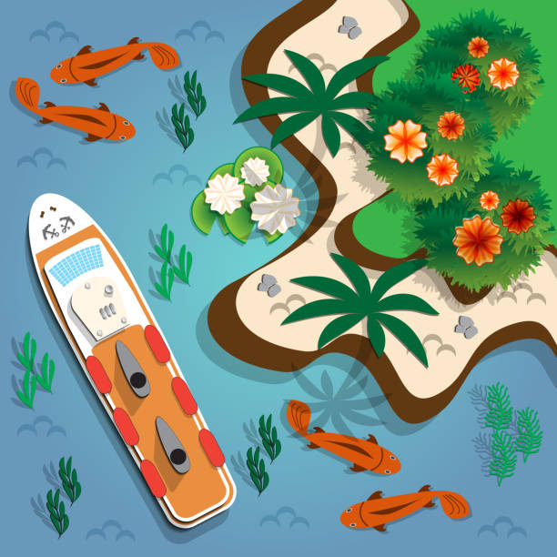 Con Algas Marinas O Un Diseño De Flores En La Arena - Banco de fotos e imágenes de stock - iStock Con Algas Marinas O Un Diseño De Flores En La Arena - Banco de fotos e imágenes de stock - iStock