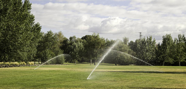 park zraszacz wodny - sprinkler park summer spray zdjęcia i obrazy z banku zdjęć