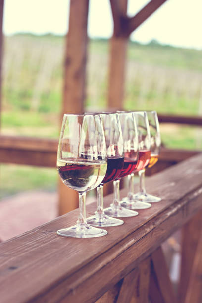istock Glasses with wine. Red, pink, white wine in glasses. 929584792