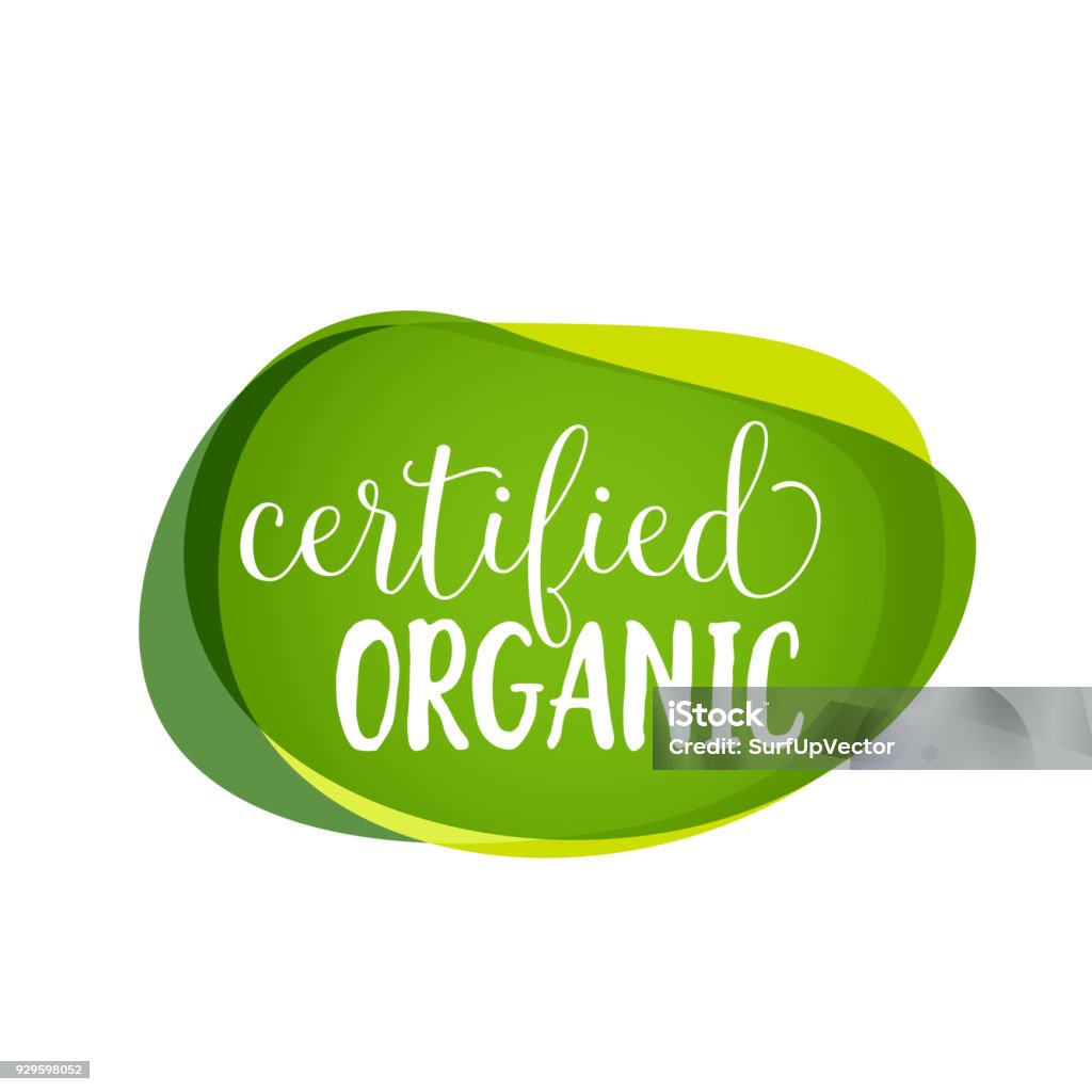 Certified Organic Lettering Certified Organic lettering on green blots. Promotion element. Handwritten and typed text, calligraphy. For logotypes, posters, leaflets and brochures. Logo stock vector