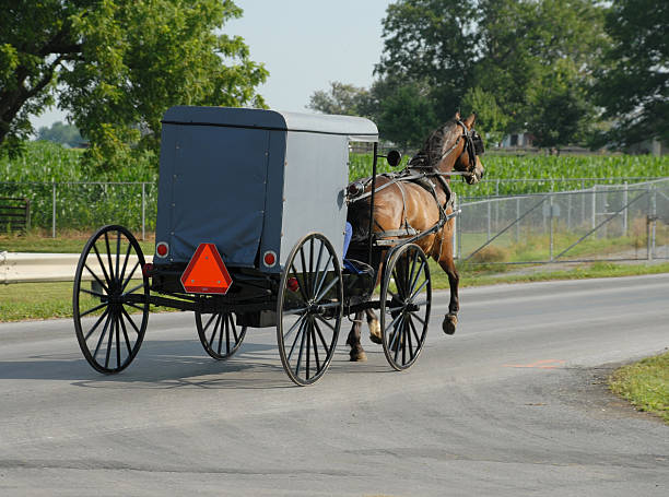 istock Horse-drawn Amish carriage in Pennsylvania 92960208