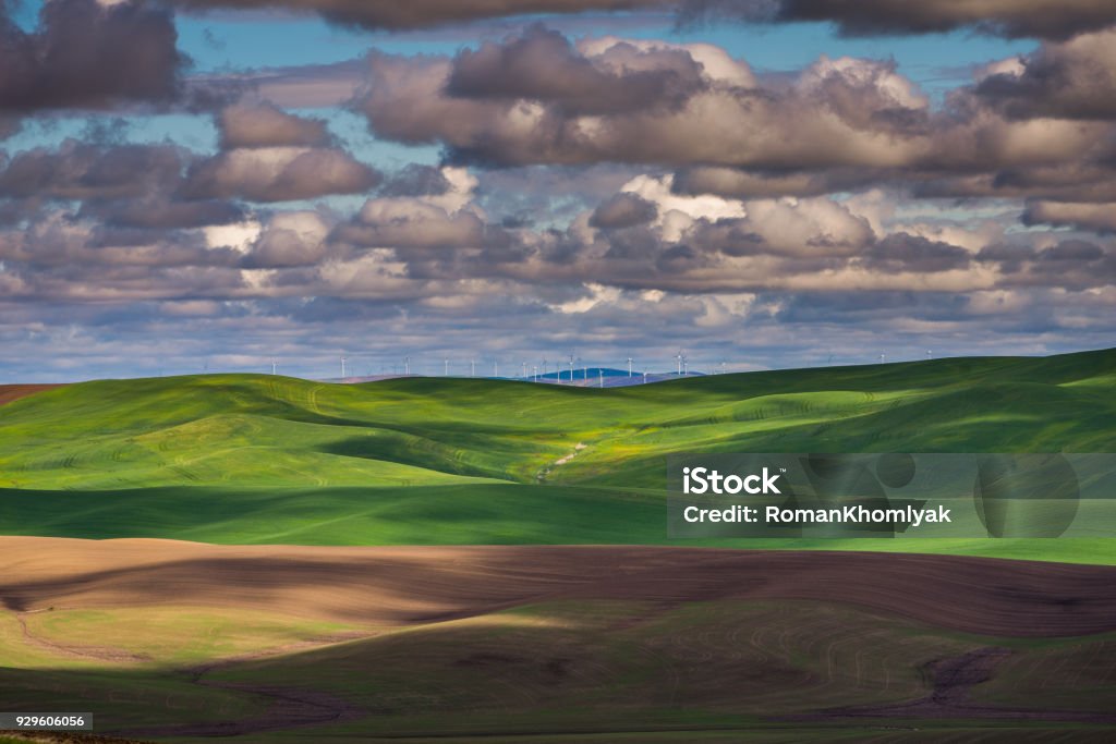 Amazing clouds over plowed fields, an incredible drawing of the earth. Kamiak Butte State Park, Whitman County, Washington, USA Washington State Stock Photo