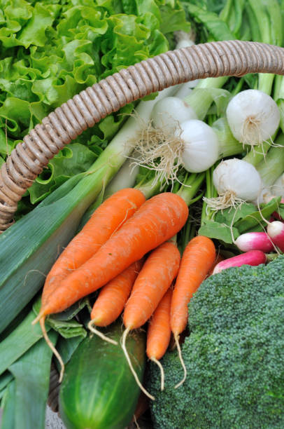 istock carrots in a basket full of vegetables 929606376