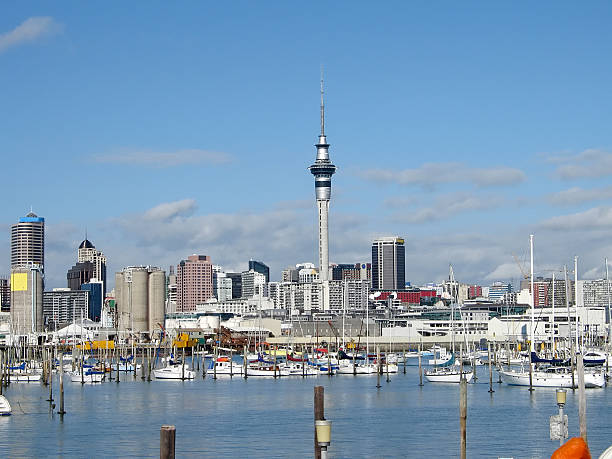 istock Auckland Sky Tower & marina 92960767
