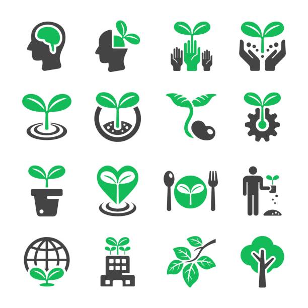 ilustraciones, imágenes clip art, dibujos animados e iconos de stock de icono de planta - head shoot