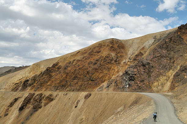 istock Polychrome Mountain Birder In Denali National Park 92963029