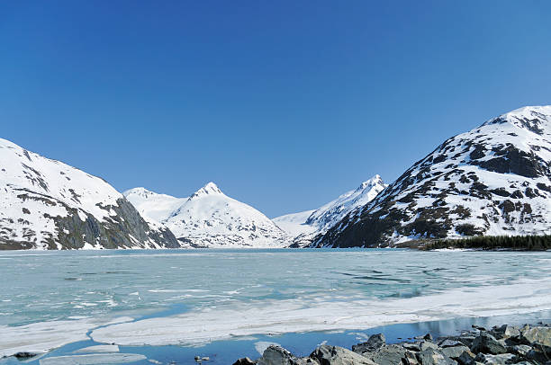 The glacier south of Anchorage is retreating up the mountains and can no longer be accessed a tourist boat that cruises the lake in summer. The blue sky is reflected in the ice that rremains from the winter with melt puddles a sign of spring. Incredibly clear blue sky provide sharp relief of the Chugach mountains.