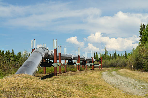 istock Trans Alaska Pipeline With Heat Exchangers 92963129