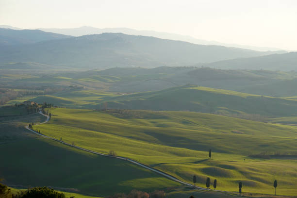 istock Tuscany hills in sunset light 929639562