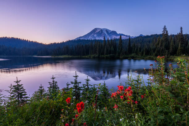 Mount Rainier National Park, Reflection Lake, Summer