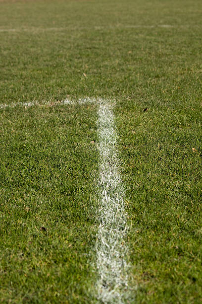 Football Field Linien – Foto