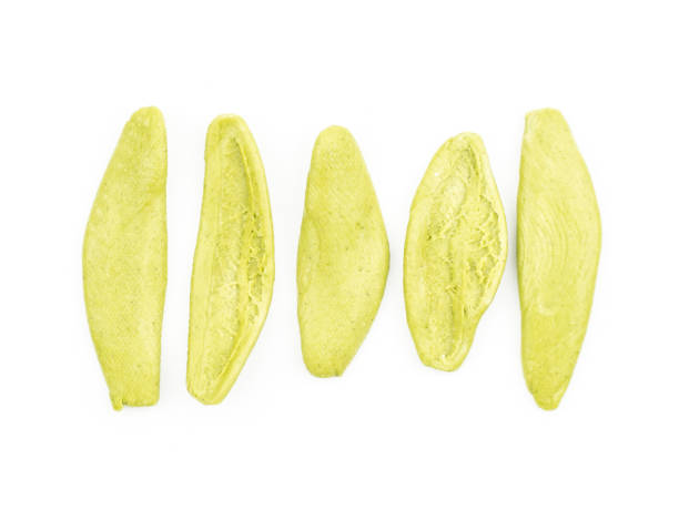 istock Fresh raw Foglie pasta isolated on white 929641944