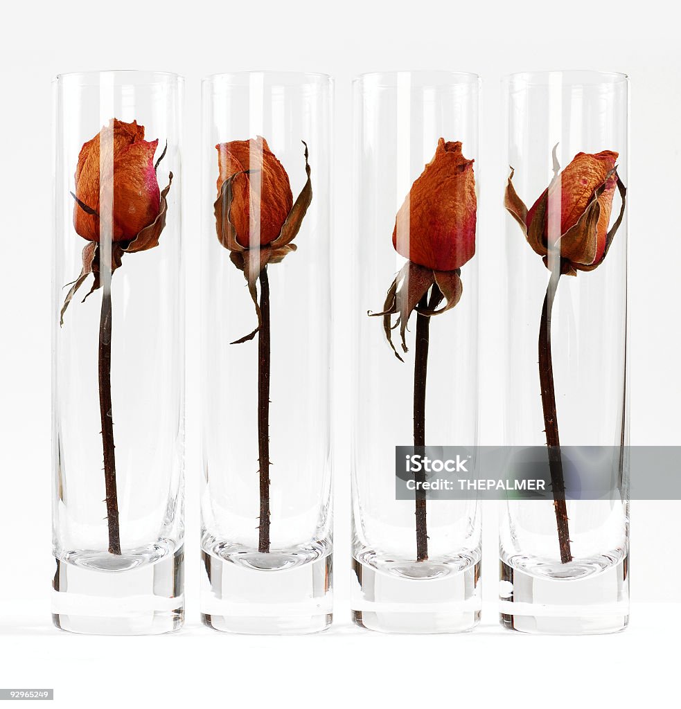 dry rosas em vasos - Foto de stock de Cristal royalty-free