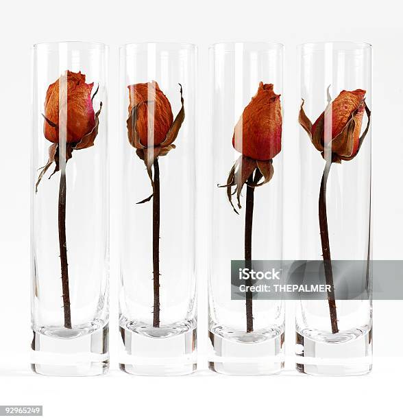 Foto de Dry Rosas Em Vasos e mais fotos de stock de Cristal - Cristal, Amor, Antiguidade