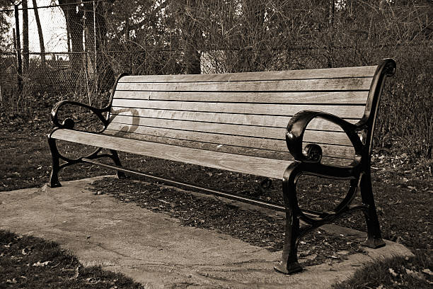 Wooden Park Bench stock photo