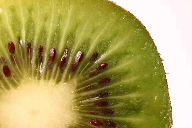 Kiwifruit Close-up of a sliced kiwi, isolated on white goodfood stock pictures, royalty-free photos & images