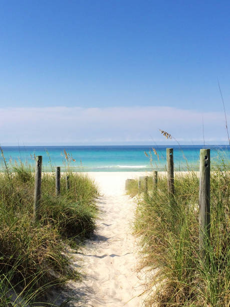 istock Florida Beach, Panama City 929662086