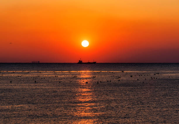 istock Haeundae beach at sunrise in Busan,South Korea. 929665688