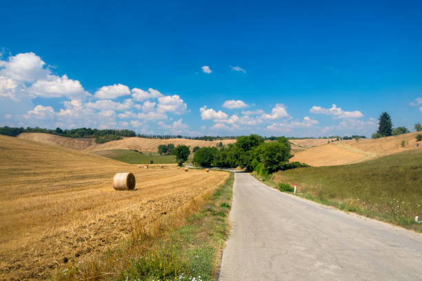 istock Summer landscape in the Chianti region (Tuscany) 929666400