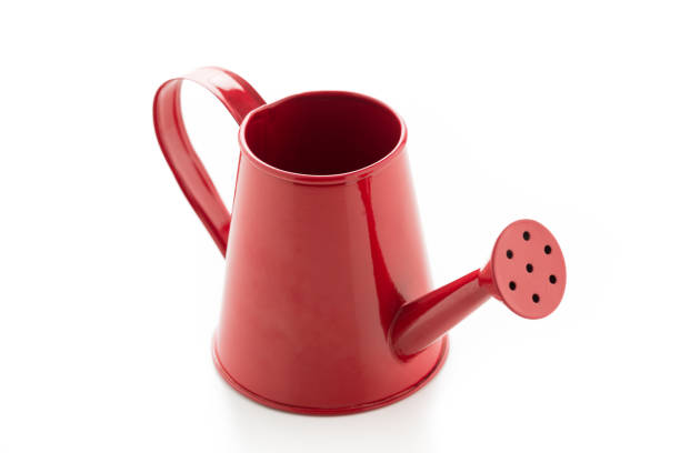 istock Red watering can on isolated on a white background 929666688