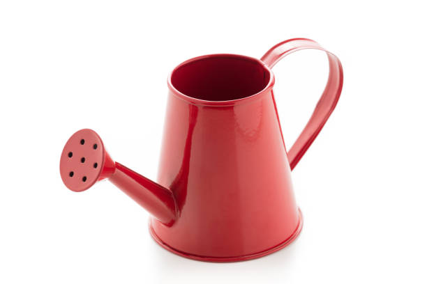 istock Red watering can on isolated on a white background 929666690