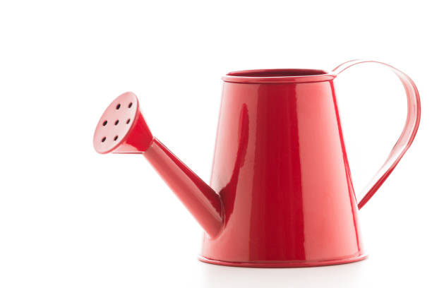 istock Red watering can on isolated on a white background 929666706