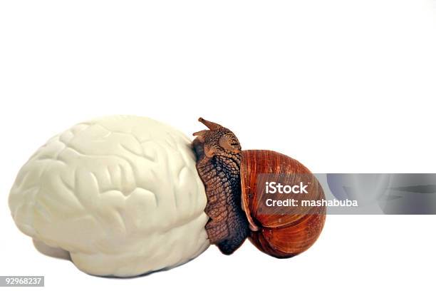Think More Quickly Stock Photo - Download Image Now - Anatomy, Color Image, Concepts