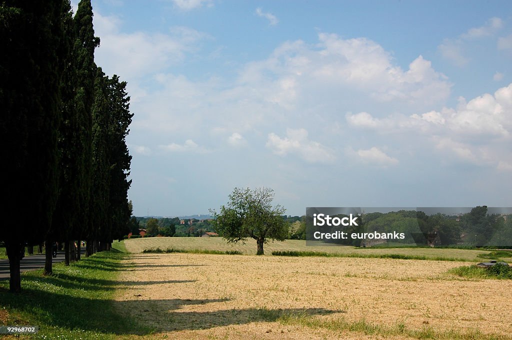 Roman Landscape Landscape in the suburbs of Rome toward the Appian Way. Agricultural Field Stock Photo