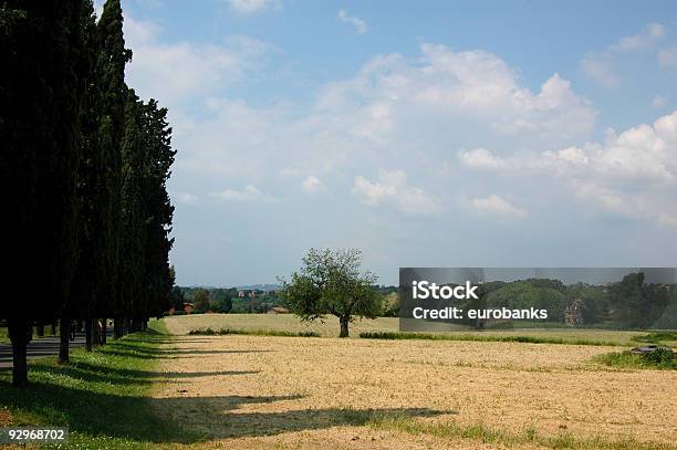 Roman Landscape Stock Photo - Download Image Now - Agricultural Field, Blue, Capital Cities