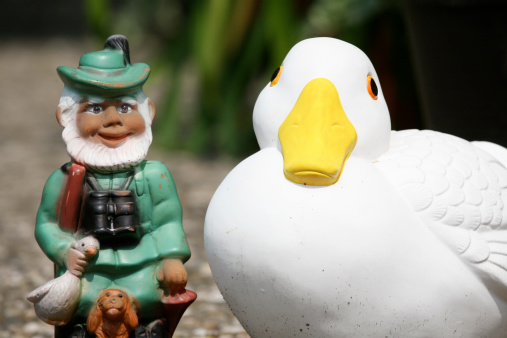 Funny picture - seen in a garden: hunter gnome holding a duck in his right hand and surrounded by a big duck ....