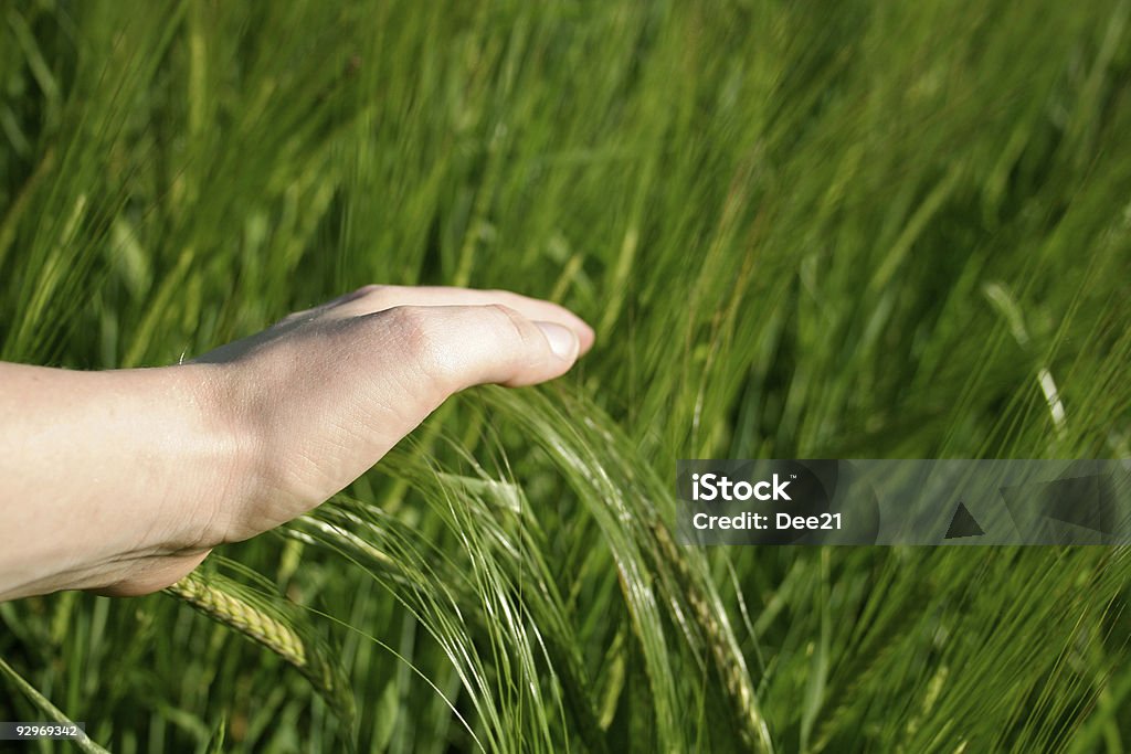 L'écologie - Photo de Adulte libre de droits