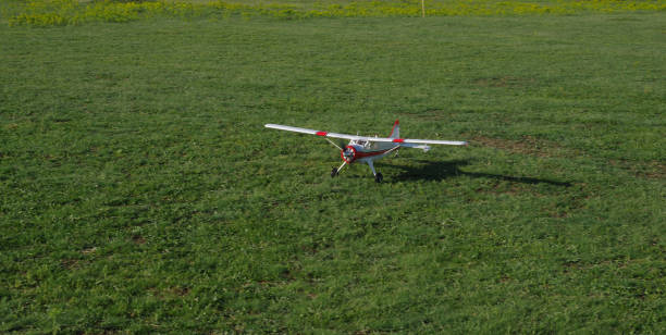 istock radio controlled airplane in the grass 929696934
