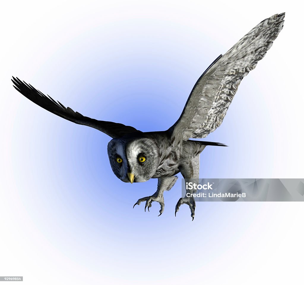 Great Gray Owl  Animal Wing Stock Photo