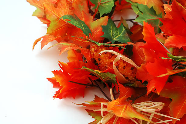 vibrant fall-themed wreath decorated with miniature pumpkin, pine cones, seed pods, and berries, hanging on a wooden door. The natural textures and warm colors evoke a cozy seasonal atmosphere, perfect for Thanksgiving or rustic decor inspiration.