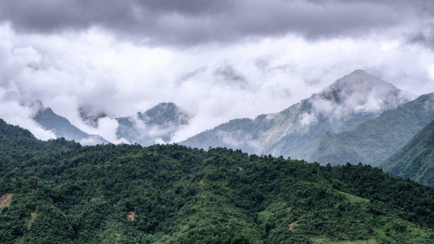 istock Mountain range lush with misty in rainy 929701438