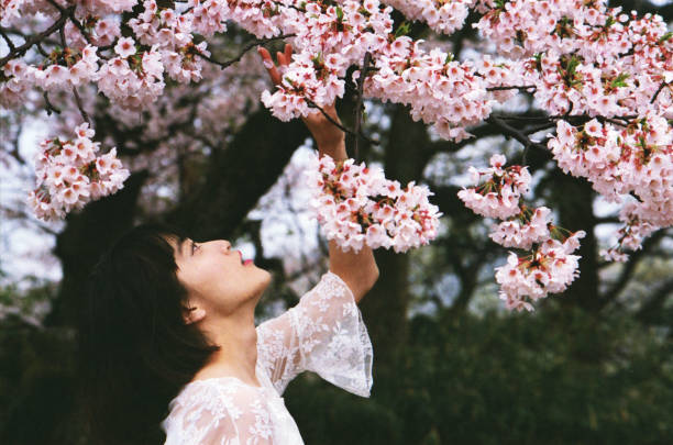 istock Under the cherry tree, when the flowers fall. One woman 929702142