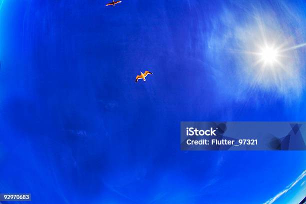 Cielo Sol Foto de stock y más banco de imágenes de Azul - Azul, Cielo, Color - Tipo de imagen
