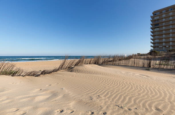 istock Dunes at Arenales del Sol in Elche. 929709022