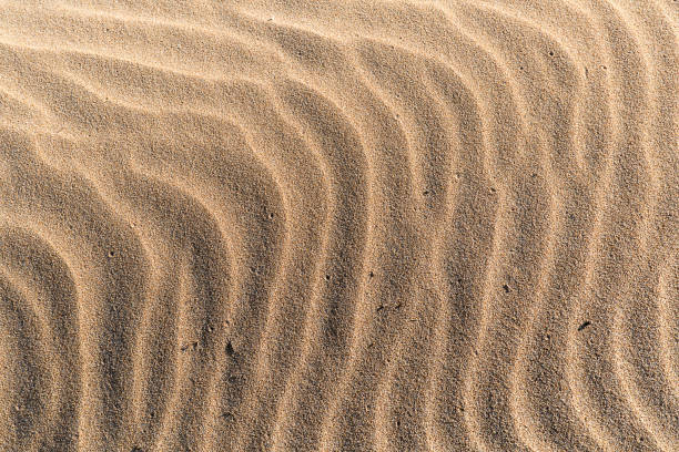 istock Close-up of beach sand with waves made by the wind. 929709082