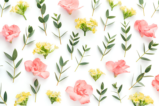 Pattern with pink azalea and yellow flowers and eucalyptus leaves on white background. View from above.