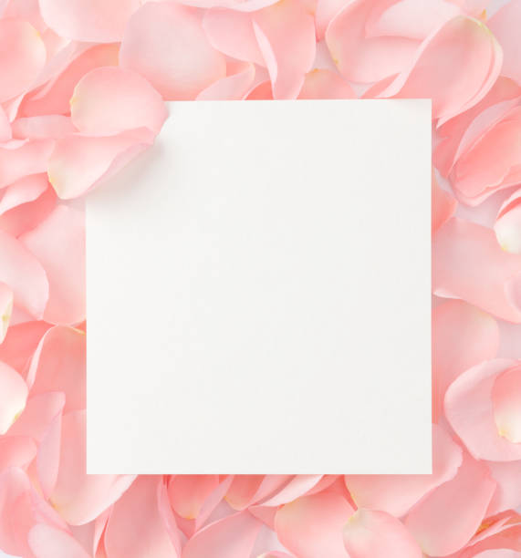 istock paper with pink rose petals. Flat lay, top view 929724074
