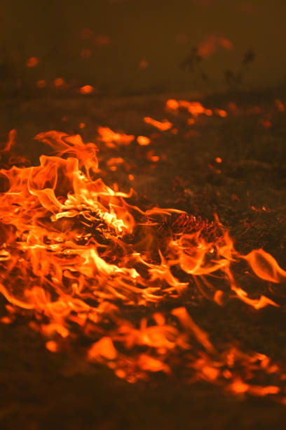 istock Ground level view of low flames moving through forest floor 929724874