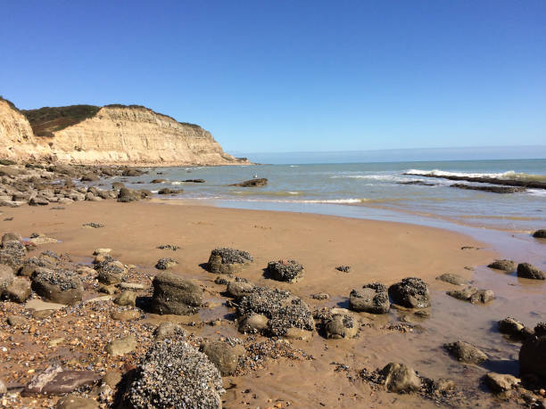 istock Hastings beach in England 929724990
