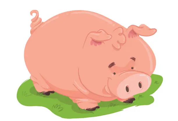 Vector illustration of The Pig