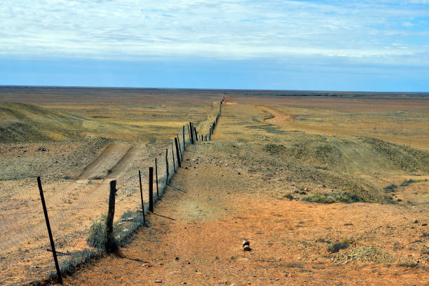 istock Australia, Coober Pedy, Dog Fence 929727846