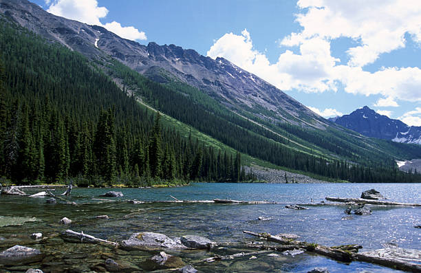 istock Consolation Lake, Canadian Rockies 92973129