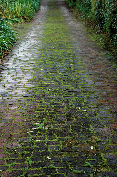 Caminhada o caminho - foto de acervo