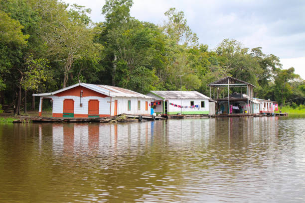 istock boat houses on the amazon river 929736232