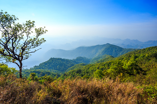 Asia, Chiang Mai Province, Cloud - Sky, Cloudscape, Fog