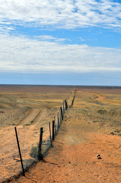 istock Australia, Coober Pedy, Dog Fence 929736926